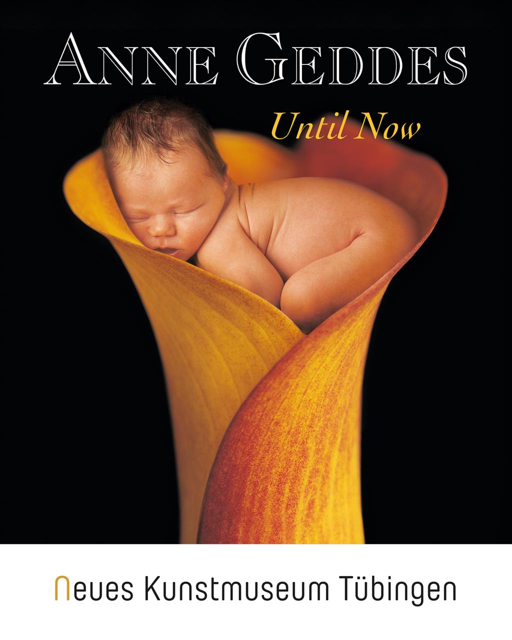 Katalog - Anne Geddes - Until Now Katalog - Anne Geddes - Until Now