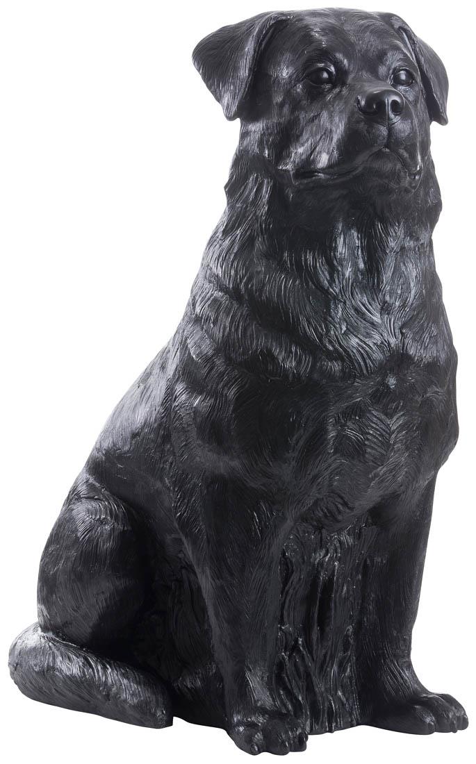 Rottweiler signiert Rottweiler signiert