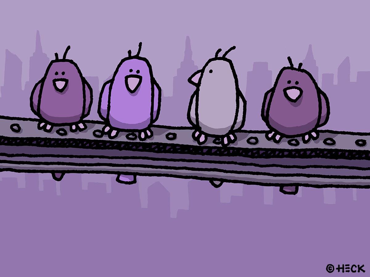 Lunch Break Lunch Break