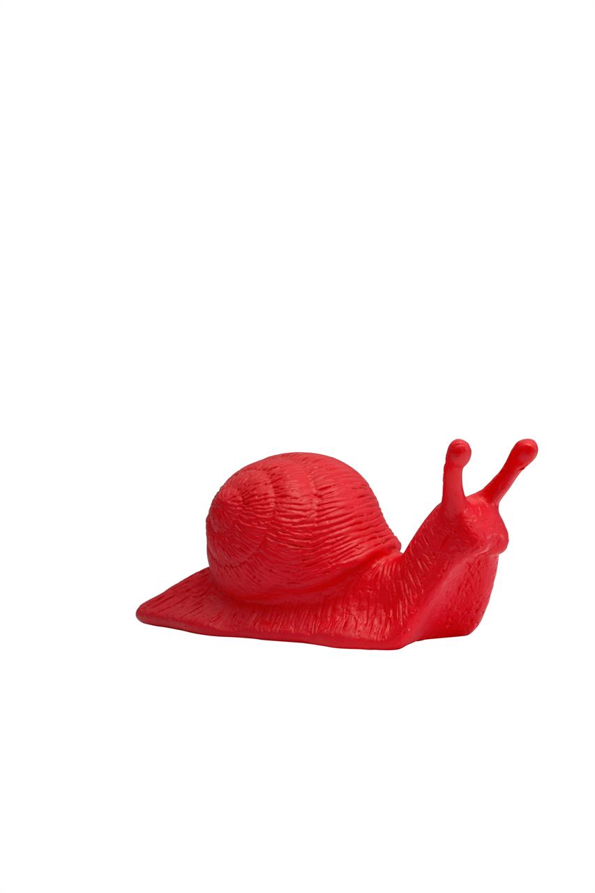 Schnecke