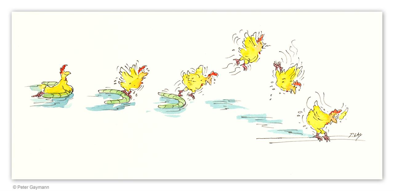 Flugstudie Huhn flattert aus Wasser Flugstudie Huhn flattert aus Wasser