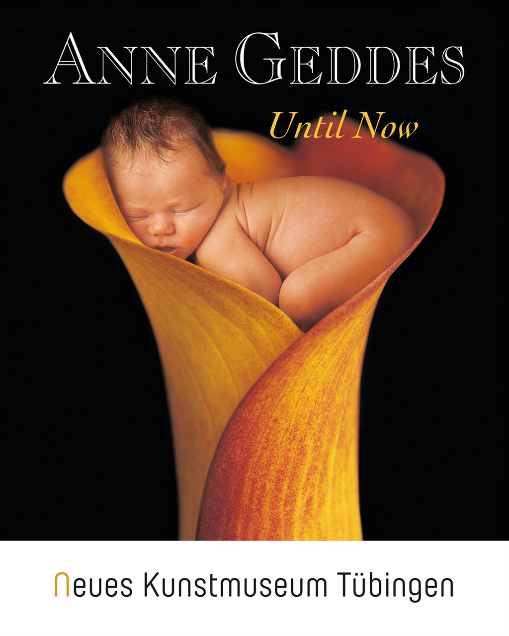 Katalog - Anne Geddes - Until Now