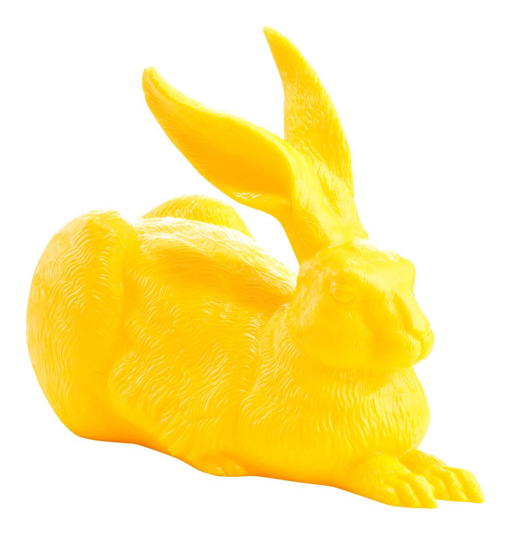 Dürer-Hase
