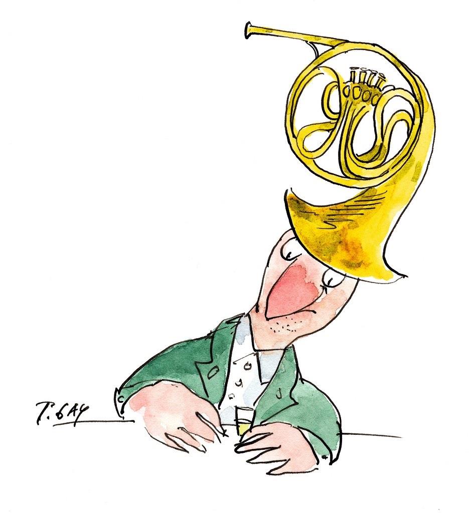 Hahn mit Horn auf dem Kopf Hahn mit Horn auf dem Kopf