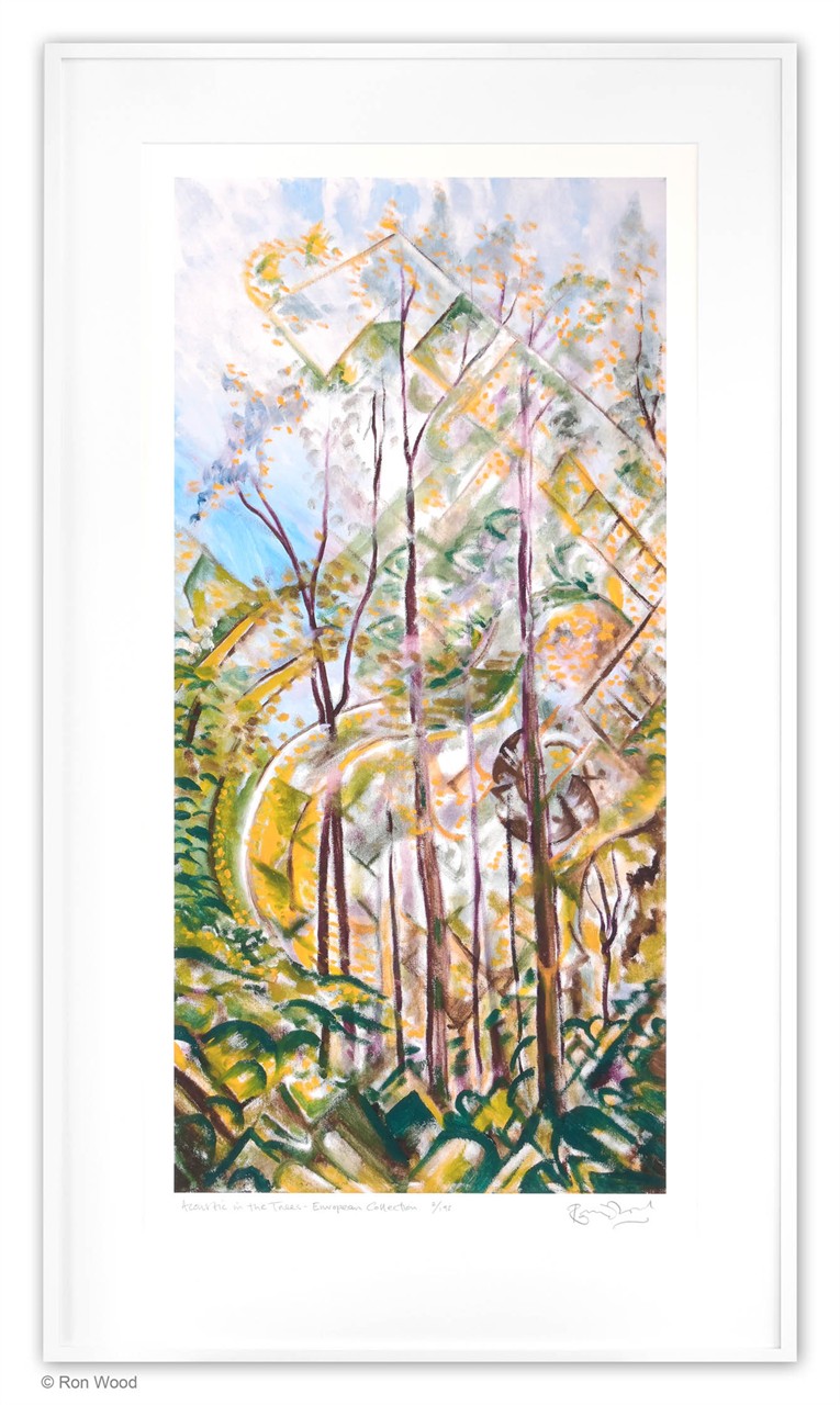 Acoustic in the Trees II - European Collection